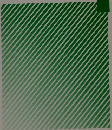 社会保険の手続