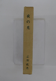 夜の光