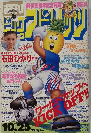 BIG　COMIC　ＳＰＩＲＩＴＳ　1993年10月25日号