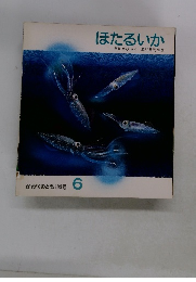 ほたるいか　かがくのとも195号 6