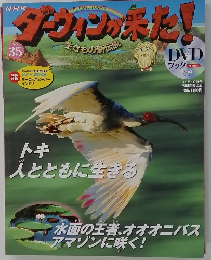 DVD ブック　ダーウィンが来た!　12月10日号　NO. 35