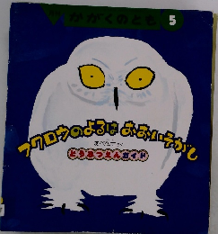 フクロウのよちはおおいそがし