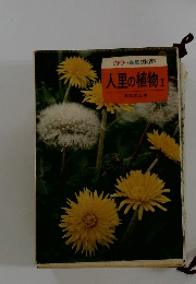 カラー自然ガイド人里の植物 Ⅰ