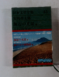 日本文学全集 45