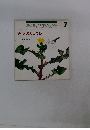 年少版こどものとも　7