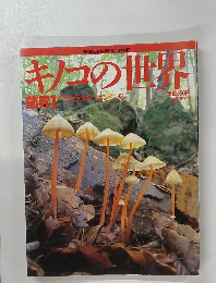 キノコの世界　菌界1