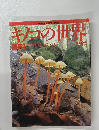 キノコの世界　菌界1