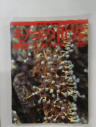 キノコの世界　4/10号