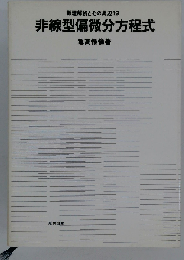 非線型偏微分方程式