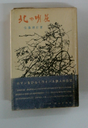 北の明星