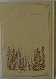 WUTHERING HEIGHTS II 嵐が丘Ⅱ エミリー・ブロンテ