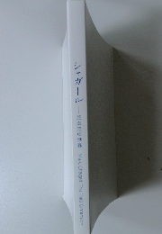 シャガール　三次元の世界