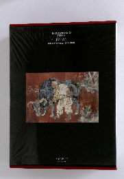 日本美術絵画全集・23 愛蔵普及版 若冲/蕭白