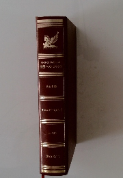 リータースタインシェスト世界ベスト フックス