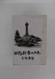 回想新市二十年