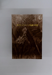 オリエンテーリング地図の作成