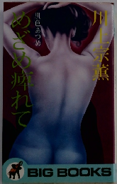 肌色あつめ　めざめ痺れて