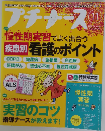 プチナース 2017年 11月号 雑誌