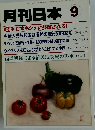 月刊日本 2008年 09月号