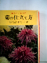 菊の仕立て方