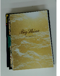 Big Shine ビッグシャイン総合カタログ 50