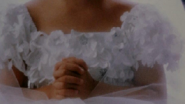 プロ用ネガカラーの徹底的研究　スタジオフォトグラフィハンドブック 5