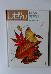 しぜん　おちば　11