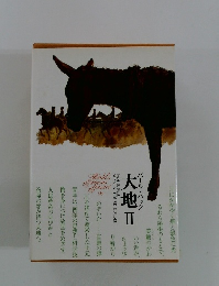 大地 Ⅱ