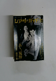 シアダーガイド　１１