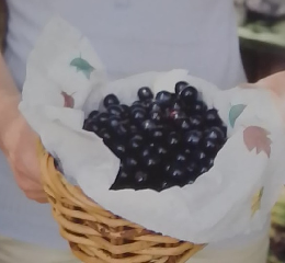 haru.mi　2008年夏号　　Vol.8