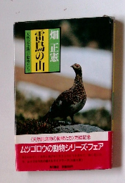 雷鳥の山