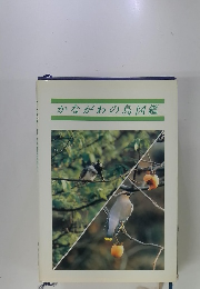 かながわの鳥図鑑