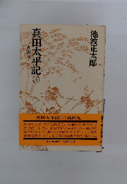 真田太平記　13