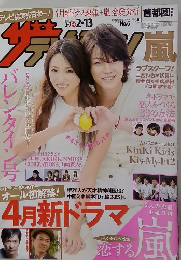 ザテレビジョンNo.６　２０１５年2月号