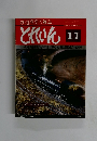 鉄道模型の雑誌　とれいん1980年11月号