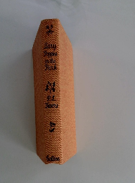 Mary Poppins in the Park