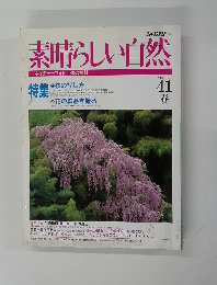 素晴らしい自然　1997年春号　No.41