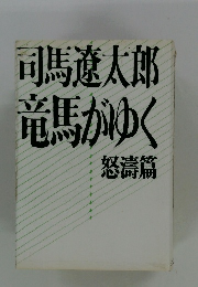竜馬がゆく 怒濤篇