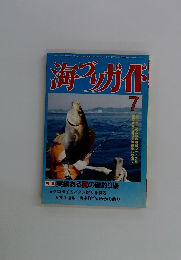 海りガイド　7