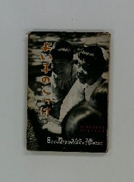 よい子のこっけ