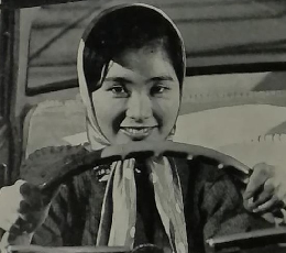 自動車の運転免許