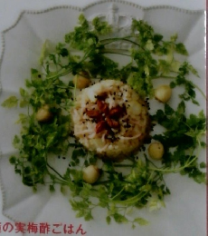 ベジィ・ステディ・ゴー!　2011年　Vol. 19