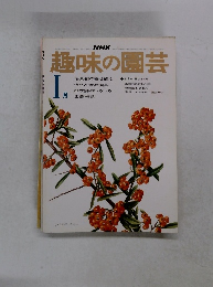 趣味の園芸　1月
