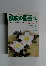 趣味の園芸　1977年１２月号