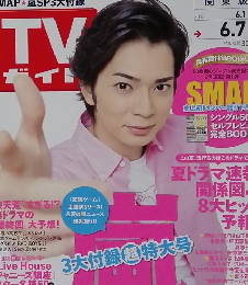 TVガイト　2013年6/7号