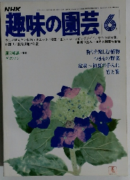 趣味の園芸　1978年年6月号