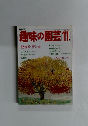 趣味の園芸  1984年年11月号