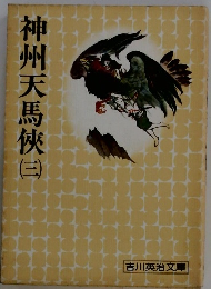 神州天馬? (三）