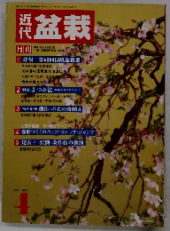 盆栽　1987年4月