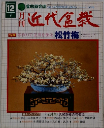 近代盆栽 手作りで正月を飾る 松竹梅」